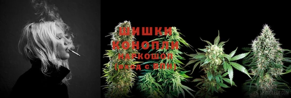 прущие грибы Липки