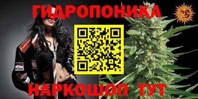 спайс Заволжье