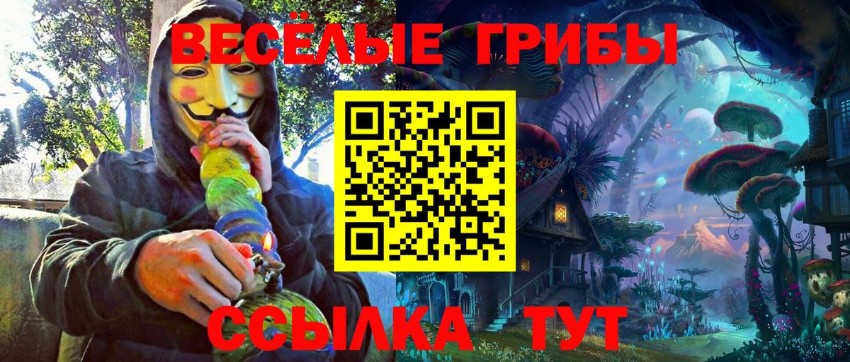 Карачаевск  Галлюциногенные грибы Psilocybe  Вход с VPN 