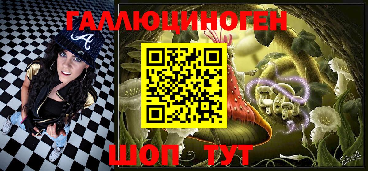 Псилоцибиновые грибы Cubensis Карачаевск