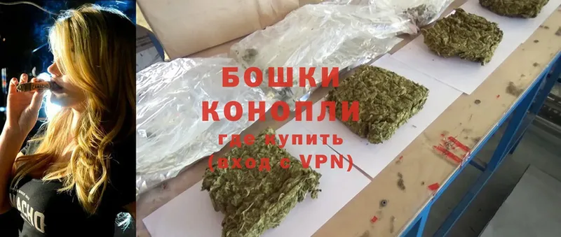 Бошки марихуана White Widow  Карачаевск 